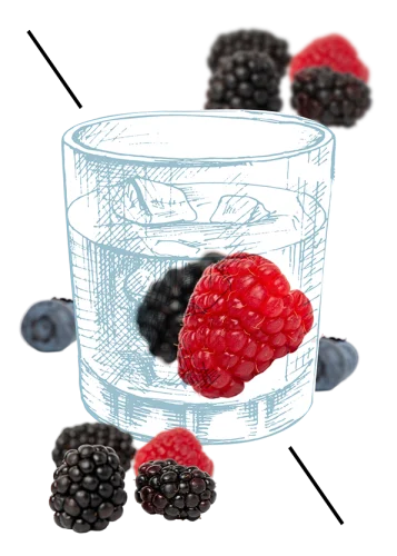 Immagine-Bramble