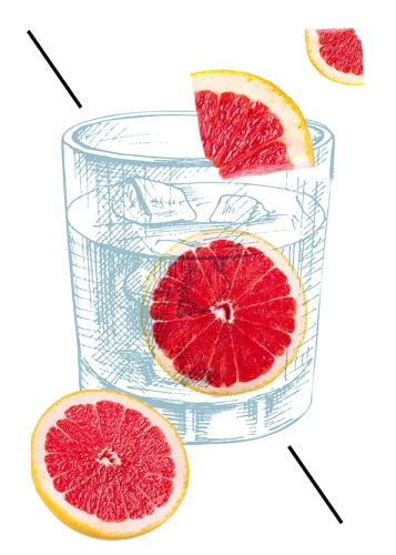 Immagine-Venetian-Paloma
